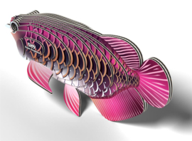 Eugy 3D - Drakenvis (Asian Arowana)