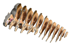 Eugy 3D - Dromedaris (Camel #136)