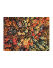 Good Puzzle co. - Autumn Forest (1000st)