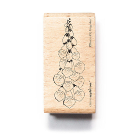 Cats on Appletrees - Stempel Vingerhoedskruid