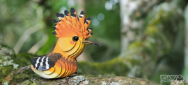 Eugy 3D - Hop (Hoopoe)