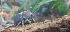 Eugy 3D - Neushoornkever (Rhino Beetle)