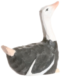 Wudimals - Struisvogel (Ostrich)