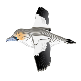 Eugy 3D - Jan-Van- Gent (Gannet #0148)
