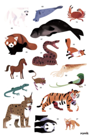 Poppik - Maak Je Eigen Stickerposter: Animals of the World