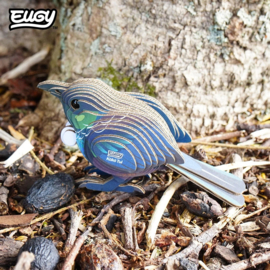 Eugy 3D - Koko Toei (Koko Tui #0149)