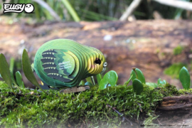 Eugy 3D - Kakapo (#099)