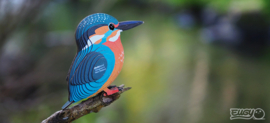 Eugy 3D - IJsvogel (Kingfisher)