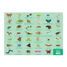 Mudpuppy - Search & Find Puzzel Bugs & Butterflies  (64 st)