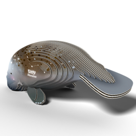 Eugy 3D - Zeekoe (Manatee)
