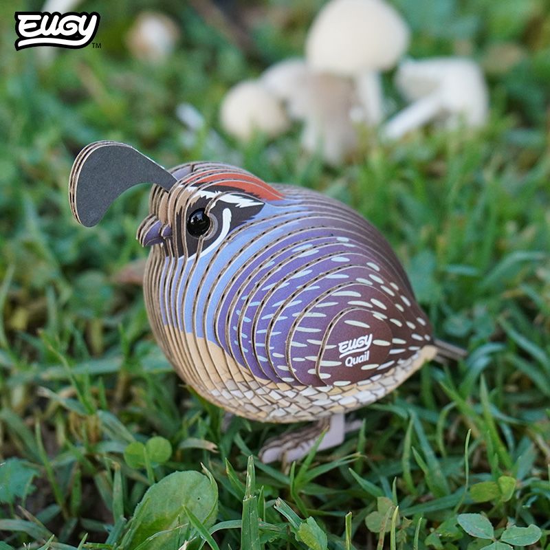 Eugy 3D - Californische Kuifkwartel (Quail #129)