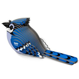 Eugy 3D - Blauwe Gaai (Blue Jay)