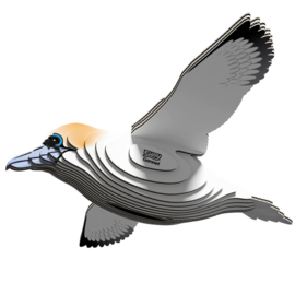 Eugy 3D - Jan-Van- Gent (Gannet #0148)