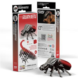 Eugy 3D - Goliathkever (Goliath beetle #111)