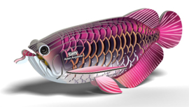 Eugy 3D - Drakenvis (Asian Arowana)