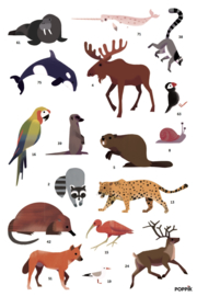 Poppik - Maak Je Eigen Stickerposter: Animals of the World