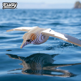 Eugy 3D - Jan-Van- Gent (Gannet #0148)