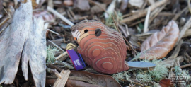Eugy 3D - Bever (Beaver)