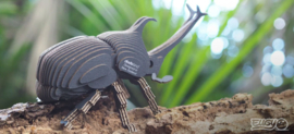 Eugy 3D - Neushoornkever (Rhino Beetle)