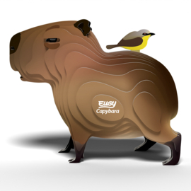 Eugy 3D - Capibara (Capybara)
