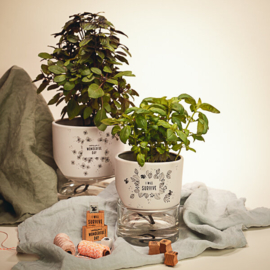 Cats on Appletrees - Stempel Tekst Wonderful Day