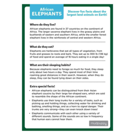 Mudpuppy - Mini Puzzel African Elephant (48 st)