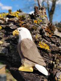 Wudimals - Arend (Eagle)
