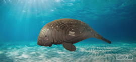 Eugy 3D - Zeekoe (Manatee)