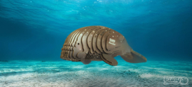 Eugy 3D - Zeekoe (Manatee)