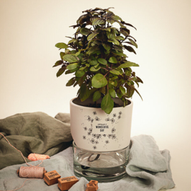 Cats on Appletrees - Mini Stempel Bloesem (17)