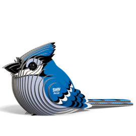 Eugy 3D - Blauwe Gaai (Blue Jay)