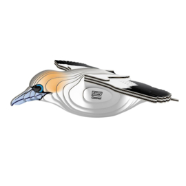 Eugy 3D - Jan-Van- Gent (Gannet #0148)