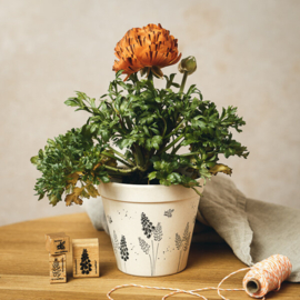 Cats on Appletrees - Stempel Bloemen Blauwe Druif Gevuld (31)