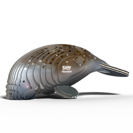 Eugy 3D - Zeekoe (Manatee)