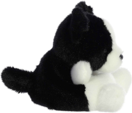 Palm Pals  - Border Collie Brody