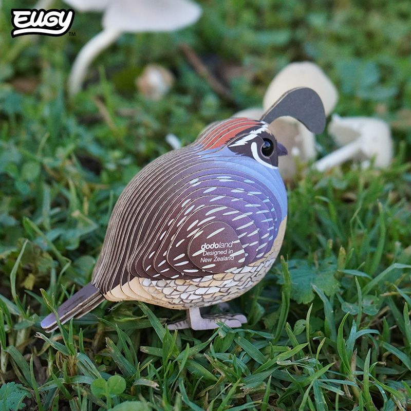 Eugy 3D - Californische Kuifkwartel (Quail #129)