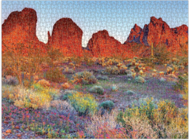 Good Puzzle co. - Arizona Desert (1000st)