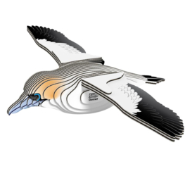 Eugy 3D - Jan-Van- Gent (Gannet #0148)