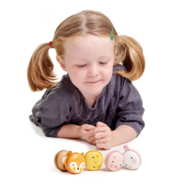 Tender Leaf Toys - Animal Macarons ( 5 stuks)