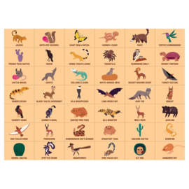 Mudpuppy - Search & Find Puzzel Southwest Desert  (64 st)