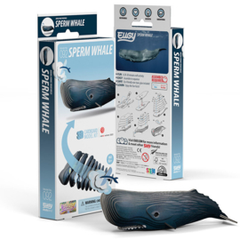 Eugy 3D - Potvis (Sperm Whale)