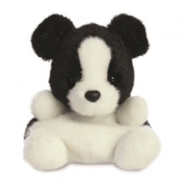 Palm Pals - Border Collie Brody