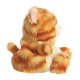 Palm Pals  - Oranje Kat Meow Kitty (Orange Cat Meow)