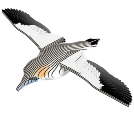 Eugy 3D - Jan-Van- Gent (Gannet #0148)