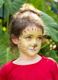 Namaki - Schminkset Leeuw & Giraf (3 kleuren)