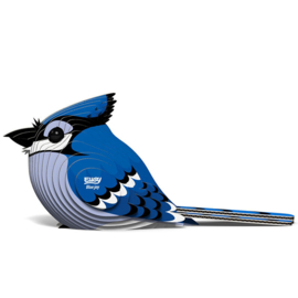 Eugy 3D - Blauwe Gaai (Blue Jay)