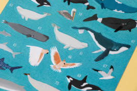 Londji - Animal World Poster & Stickers