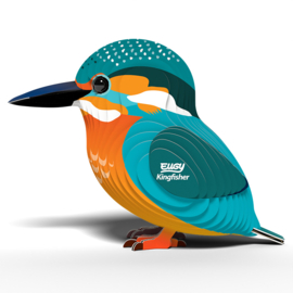 Eugy 3D - IJsvogel (Kingfisher)