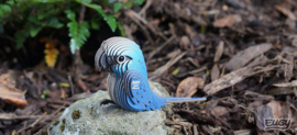 Eugy 3D - Spix's Ara (Spix's Macaw)