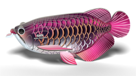 Eugy 3D - Drakenvis (Asian Arowana)